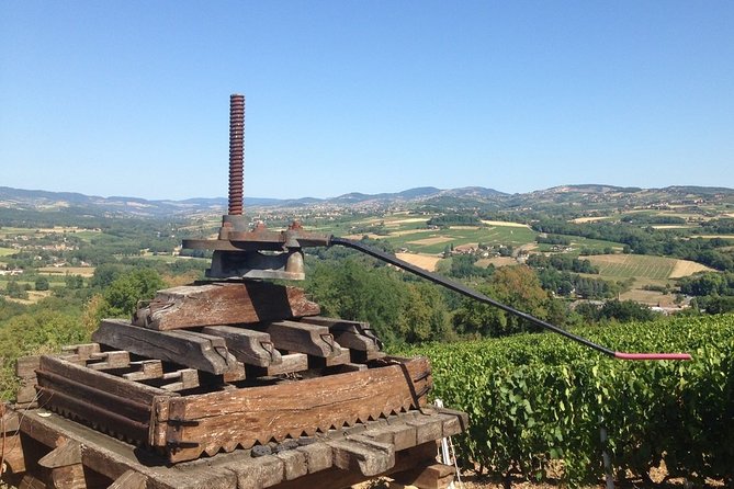 Beaujolais Wine Discovery - Private Tour - Half Day - Wine Tasting of 8 Wines