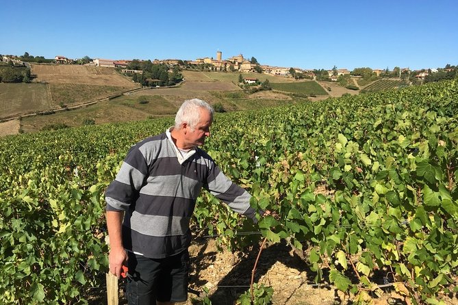 Beaujolais Wine Discovery - Private Tour - Half Day - Visit 2 Charming Wineries