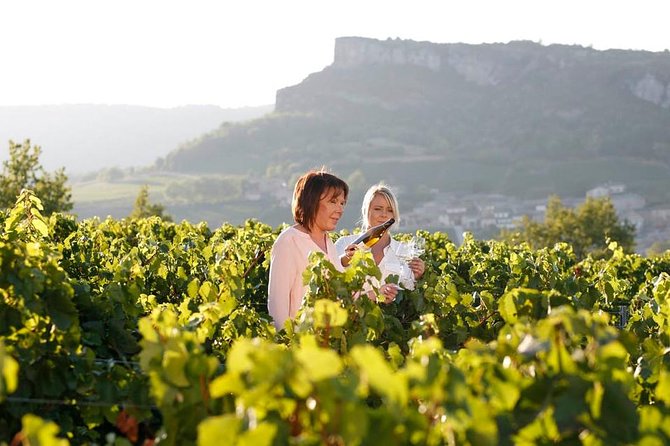 Beaujolais Wine Tasting - Transportation and Logistics