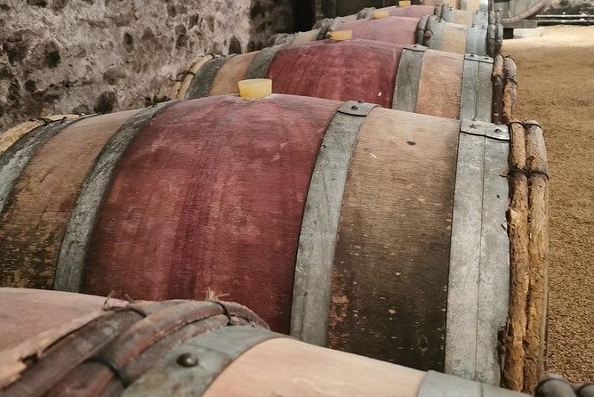 Beaujolais Wine Tasting Day Tour From Lyon - Traveler Reviews