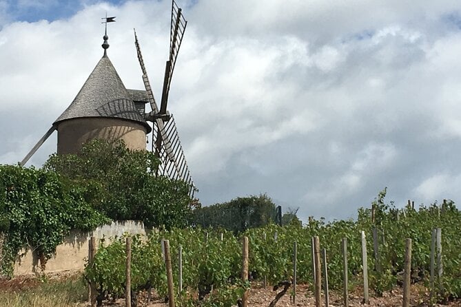 Beaujolais Wine Tasting Day Tour From Lyon - Additional Information