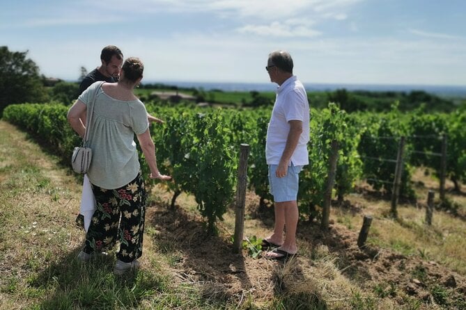 Beaujolais Wine Tasting Day Tour From Lyon - The Sum Up