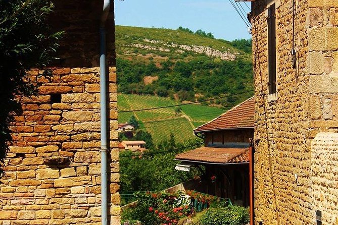 Beaujolais Wine Tasting Small-Group Half-Day Tour From Lyon - Wine-Making Process