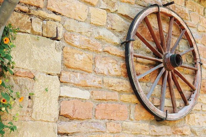 Beaujolais Wine Tasting Small-Group Half-Day Tour From Lyon - Traveler Reviews