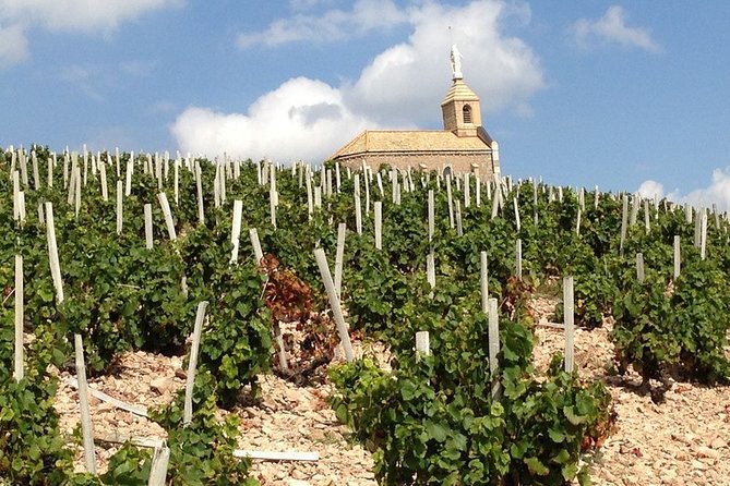 Beaujolais Wines & Castles - Private Tour - Half Day - Transportation and Pickup Information