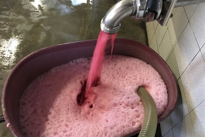 Beaujolais Wines & Castles - Private Tour - Half Day - Additional Information and Assistance