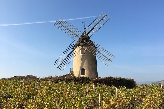 Beaujolais Wines & Castles - Private Tour - Half Day - Copyright and Terms & Conditions