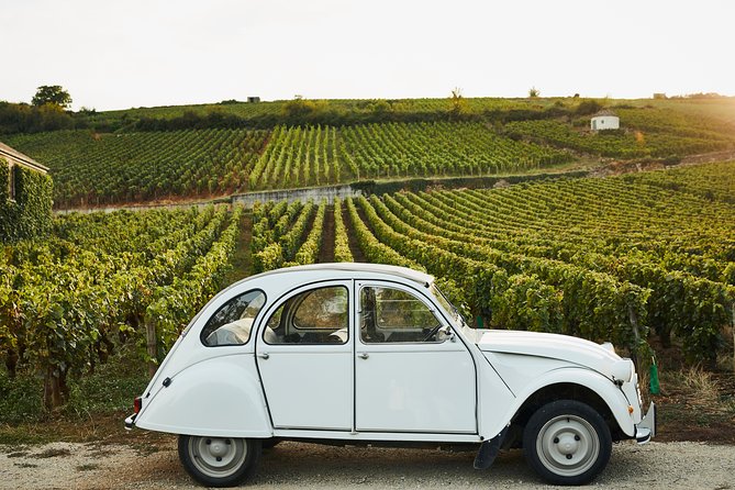 Beaune Small-Group Burgundy Wine Tasting and Estate Tour - Date and Travelers
