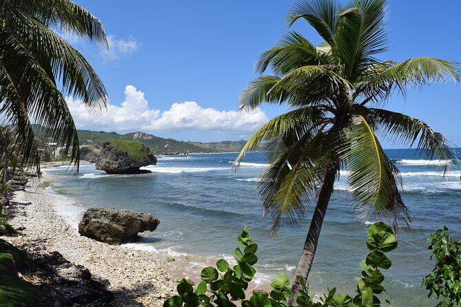 Beautiful Coastal Sightseeing Tour of Barbados - The Sum Up