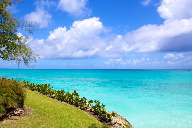 Beautiful Coastal Sightseeing Tour of Barbados - Positive Experiences