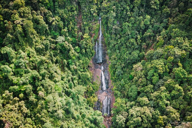 Beautiful Daintree Waterfall Half-Day Hike Swim Tour With Lunch - Tour Duration and Pick-up Locations