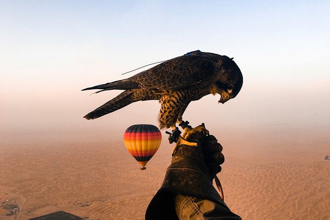 Beautiful Desert of Dubai By Hot Air Balloon - Terms and Conditions