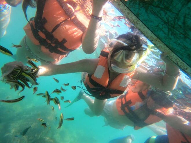 Beautiful Island of Ixtapa - Inclusions