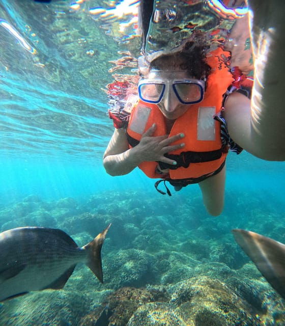 Beautiful Island of Ixtapa - Important Information