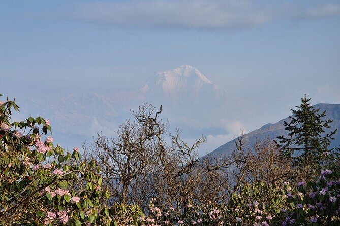 Beautiful Khopra Danda Trek from Pokhara - 6 Nights 7 Days - Descending to Swanta Village