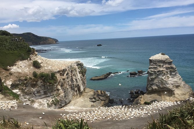 Beautiful Nature Tours Auckland - Private Tour - Tour Overview and Highlights