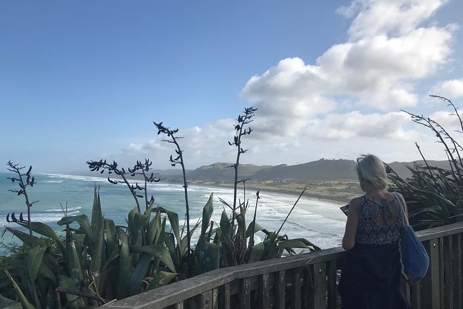 Beautiful Nature Tours Auckland - Private Tour - Wildlife Spotting and Beach Picnic