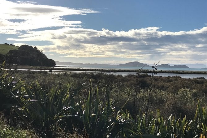 Beautiful Pohutukawa Coast - Half Day Private Tour - Tour Details