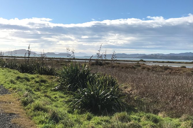 Beautiful Pohutukawa Coast - Half Day Private Tour - Directions