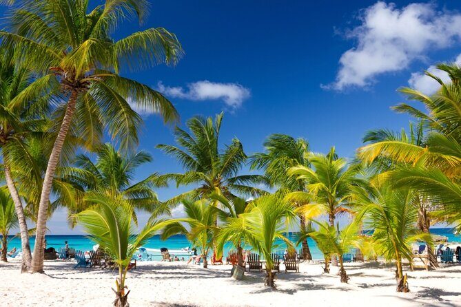 Beautiful Saona Island - What the Tour Entails: An Overview of the Day