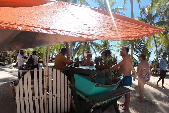 Beautiful Saona Island - What Travelers Love and Wish Could Be Different