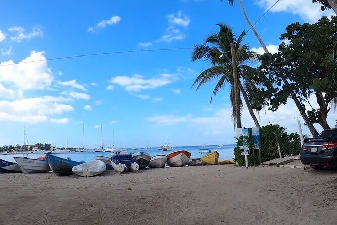 Beautiful Saona Island - FAQ About the Beautiful Saona Island Tour