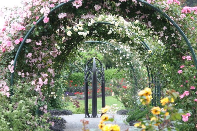 Beautiful Spring Flowers With Delicious Zealong Tea - Best Spring Flowers for Tea Pairing