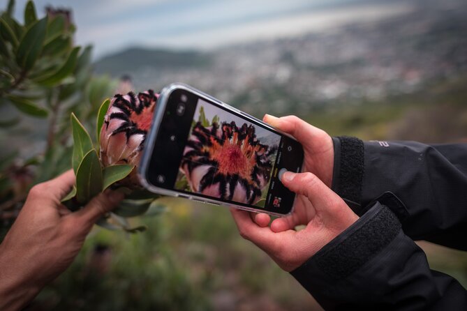 Beautiful Table Mountain Hike - Kasteelspoort - Cancellation Policy