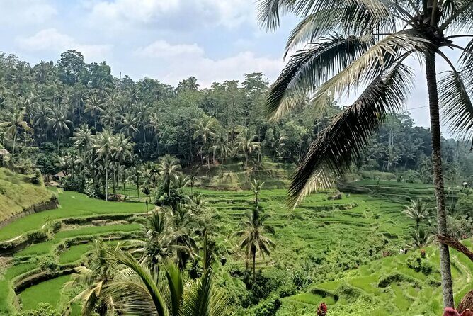 Beautiful Ubud Full Day Tour - Who Should Consider This Tour?