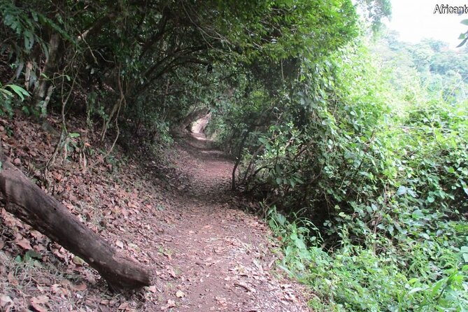 Beauty of Lake Duluti in Arusha - Exclusions