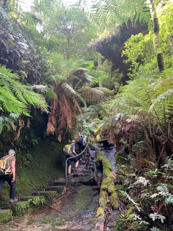 Beauty of the Blue Mountains Private Tour - Who Should Consider This Tour?