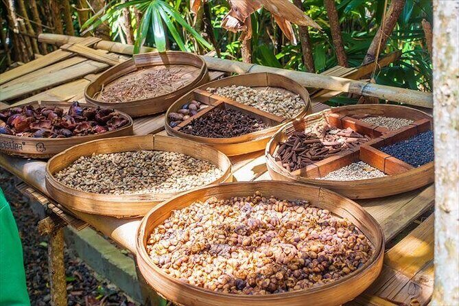 Beauty of Ubud, Rice Terrace, Temple, Monkey Forest, Waterfall - In-Depth Look at the Itinerary