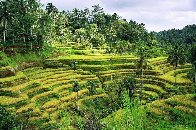 Beauty Of West Bali Tour (Private and All Inclusive) - FAQ: Practical Questions About the Tour