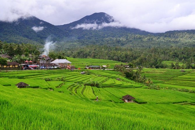 Beauty Of West Bali Tour (Private and All Inclusive) - Itinerary Overview
