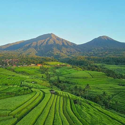 Beauty the Nature North of Bali Tour - Banyu Wana Amertha Waterfall