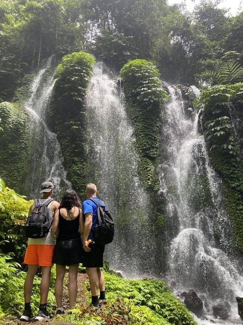 Beauty the Nature North of Bali Tour - Jatiluwih Rice Terrace