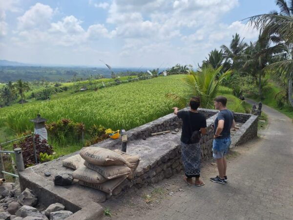 Beauty the Nature North of Bali Tour - Tour Experience