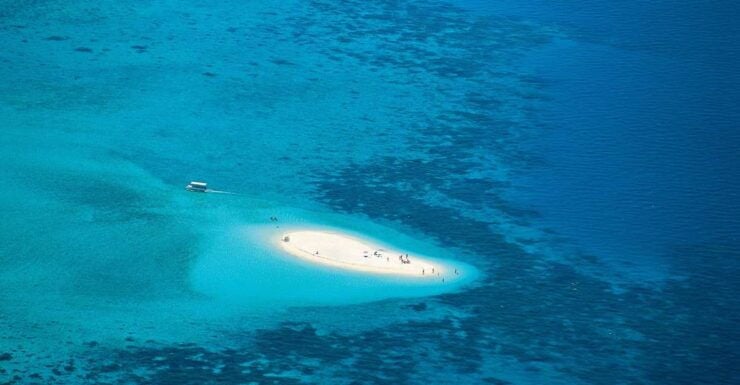 Beaver Reef & Dunk Island Xpedition Cairns Day Return - Activity Details