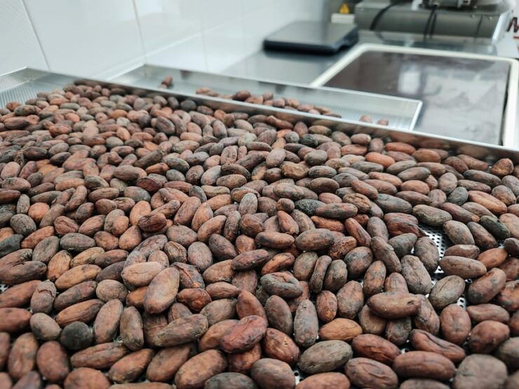 Become a Chocolatier for a Day! - Good To Know