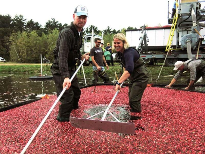 Become A Cranberry Bogger for a Day Experience - Exploring the Cranberry Bogger for a Day Experience