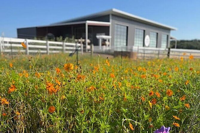 Become a Ranch Hand for a Day in Fredericksburg - Good To Know