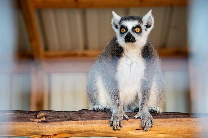 Become a Ranch Hand for a Day in Fredericksburg - FAQs