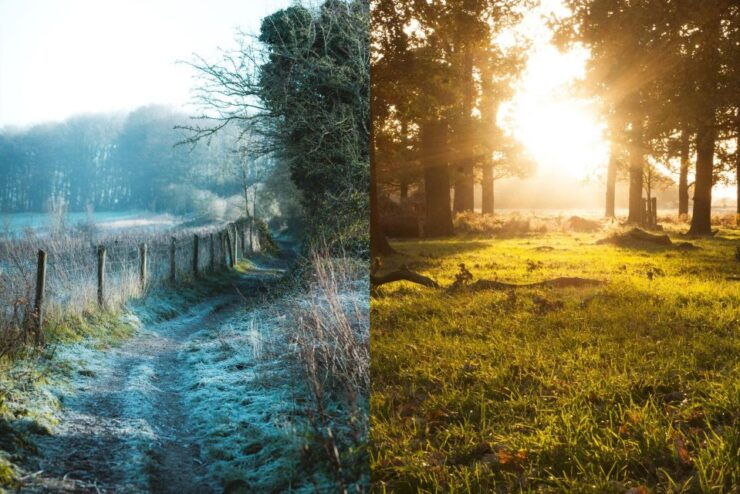 Bedfordshire Fun Puzzle Treasure Hunt! Team Race Routes! - About the Bedfordshire Fun Puzzle Treasure Hunt