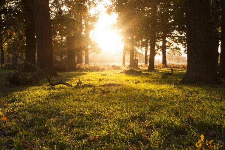 Bedfordshire Fun Puzzle Treasure Hunt! Team Race Routes! - Experience the Thrill of Team Racing