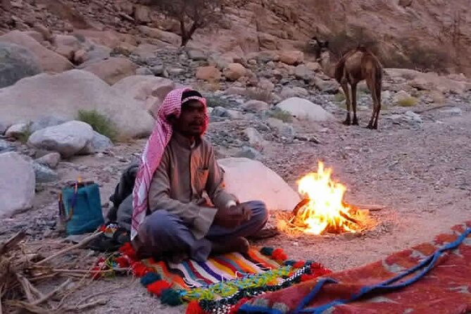 Bedouin Dinner in the Mountains In Dahab - Experience Overview