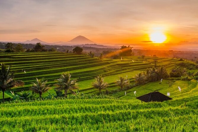 Bedugul Ulun Danu Beratan Temple, Jatiluwih, and Tanah Lot Temple - Bedugul Ulun Danu Beratan Temple Overview
