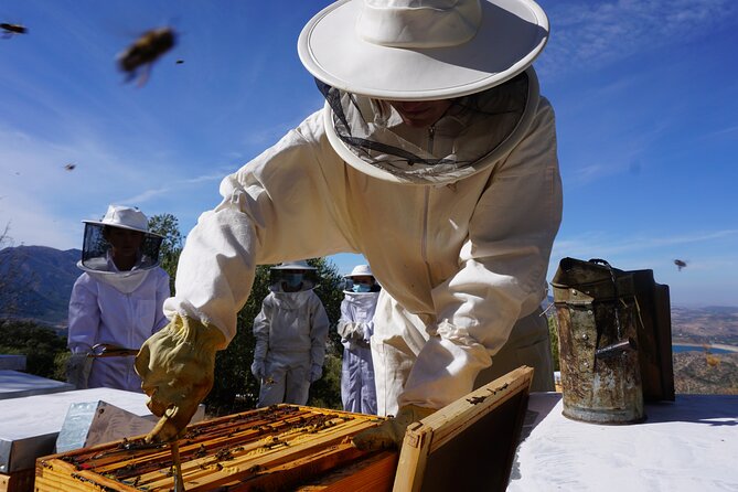 Bee Excursions in the Sierra De Cadiz - Additional Information for Visitors