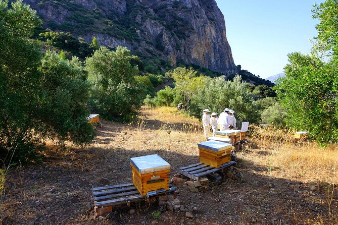 Bee Excursions in the Sierra De Cadiz - Cancellation Policy and Booking Terms