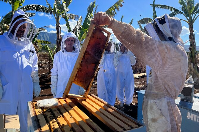 Bee Farm Ecotour and Honey Tasting in Waialua, North Shore Oahu - Common Questions
