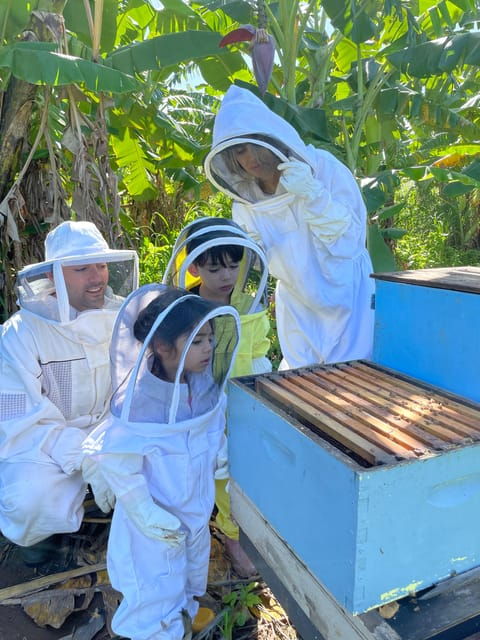 Bee Farm Tour & Honey Tasting - Good To Know